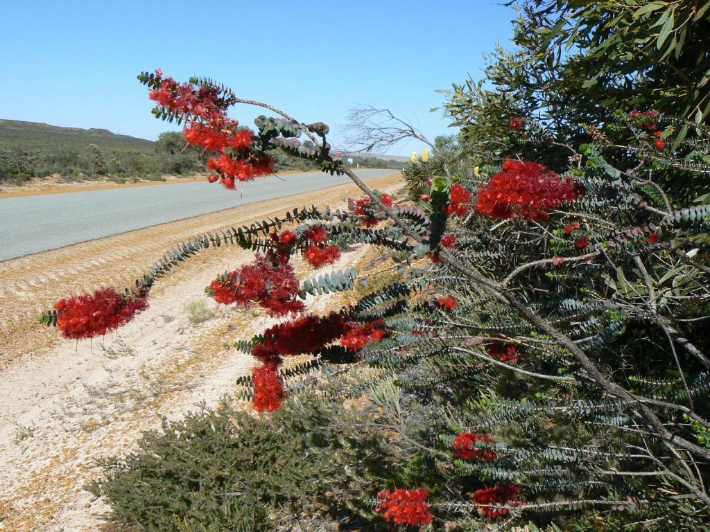 Centrebreak Beach Stay Green Head Esterno foto